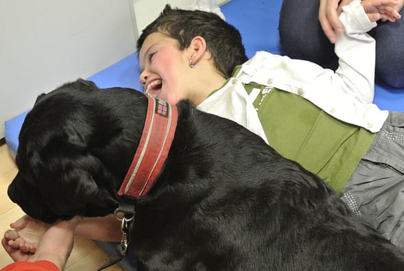 bocalan aspace perros