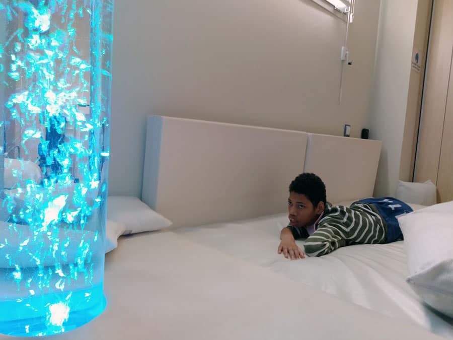 Zentzumen-estimulazioa